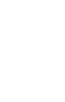 Ícone